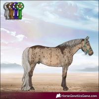 Horse Color:Silver Brown Dun Brindle 