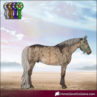 Horse Color:Silver Brown Dun Brindle 