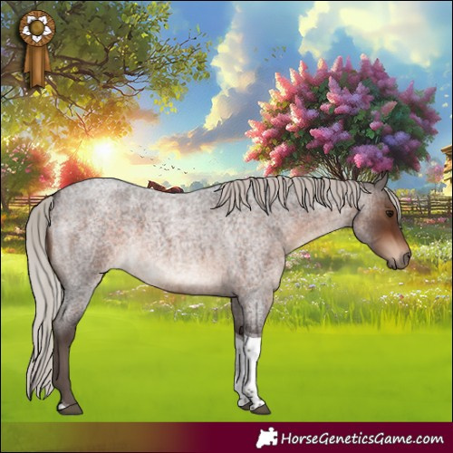Horse Color:Silver Brown Roan Tobiano 