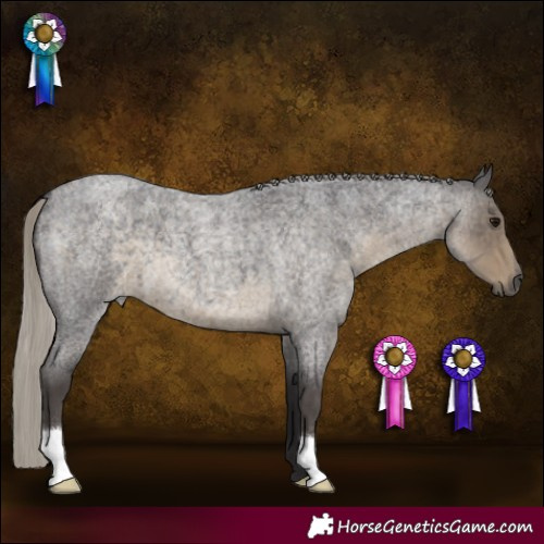 Horse Color:Silver Smoky Blue Roan 
