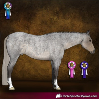 Horse Color:Silver Smoky Blue Roan 