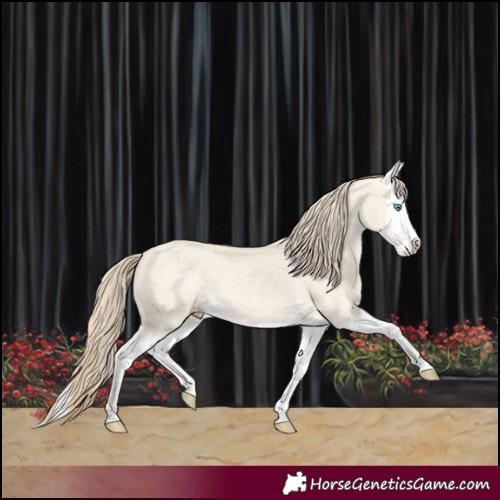 Horse Color:Perlino Dun Splash 