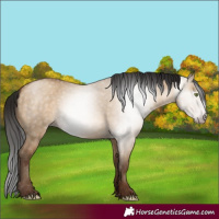 Horse Color:Gray Amber Champagne Dun 