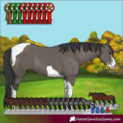 Horse Color:Grullo Sabino Tobiano 