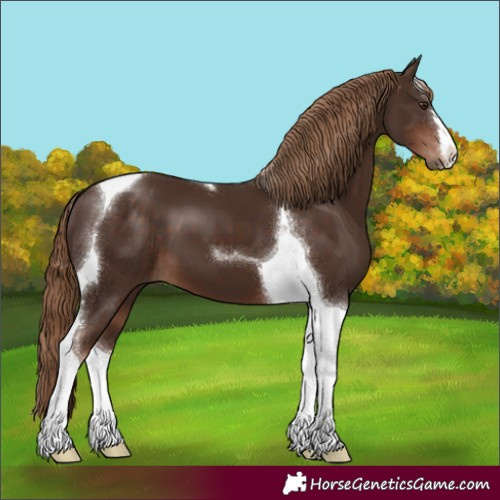 Horse Color:Liver Chestnut Tobiano 