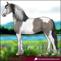 Horse Color:Grullo Sabino Tobiano