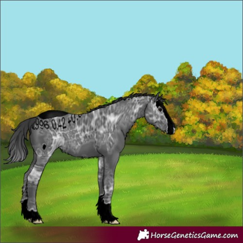 Horse Color:ERROR: UNKNOWN ANOMALY