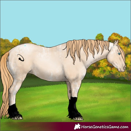 Horse Color:Gold Champagne Ice Pearl Tobiano 