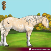 Horse Color:White Spotted Palomino Ice Splash