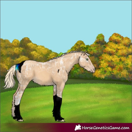Horse Color:Gold Cream Champagne Ice Tobiano 
