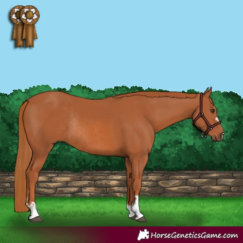 Horse Color:Chestnut Rabicano 