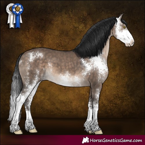Horse Color:Brown Dun Sabino 