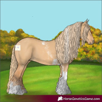 Horse Color:Red Dun Tobiano 