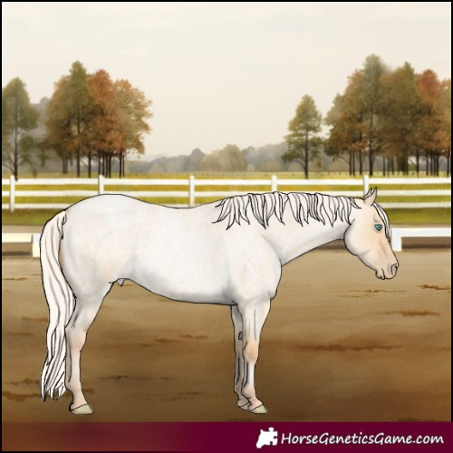 Horse Color:Silver Smoky Grullo Roan Pearl 
