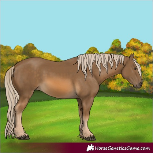 Horse Color:Chocolate Palomino 