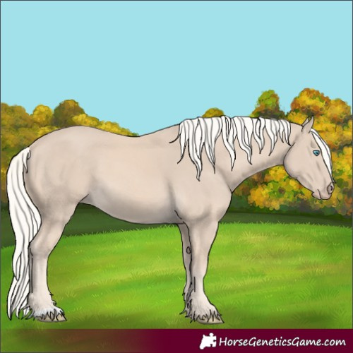Horse Color:Cremello 