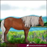 Horse Color:Silver Bay 