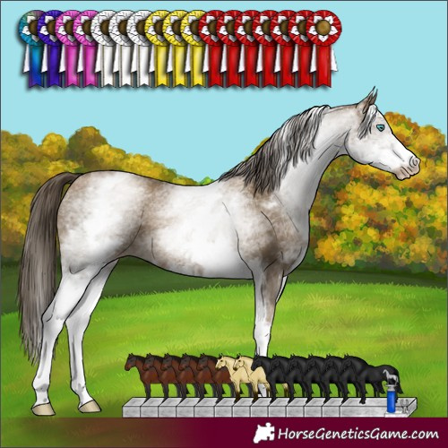 Horse Color:Gray White Spotted Smoky Black Pearl 