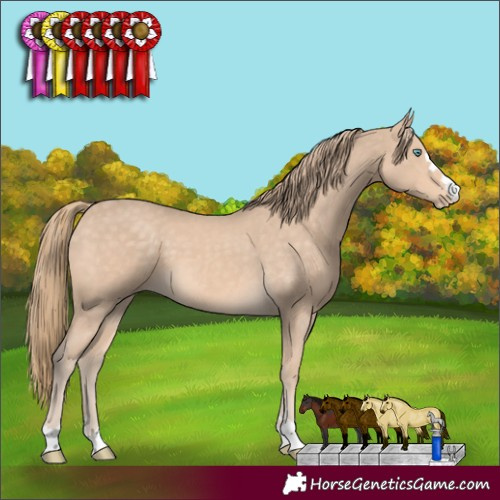 Horse Color:Perlino 