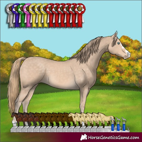 Horse Color:Perlino 