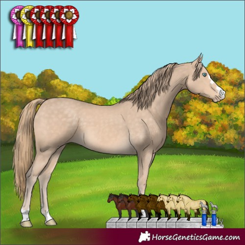 Horse Color:Perlino 