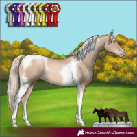Horse Color:Chocolate Palomino Pearl Tobiano 