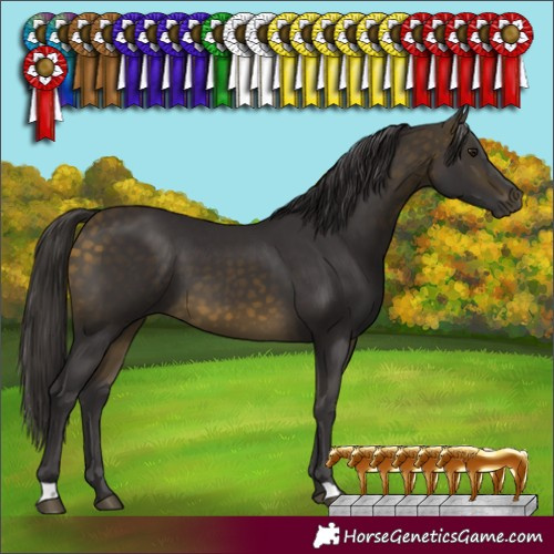 Horse Color:Buckskin 