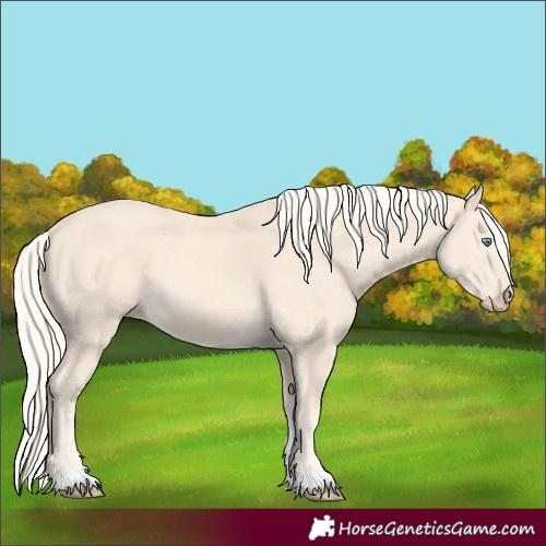 Horse Color:Cremello Tobiano 