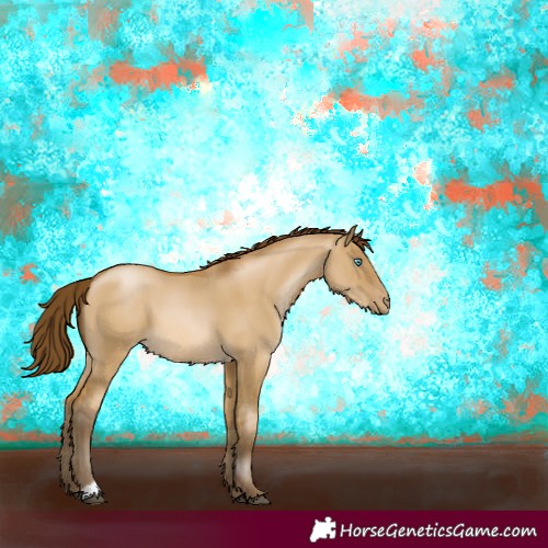 Horse Color:Gray Buckskin Pearl Dun 