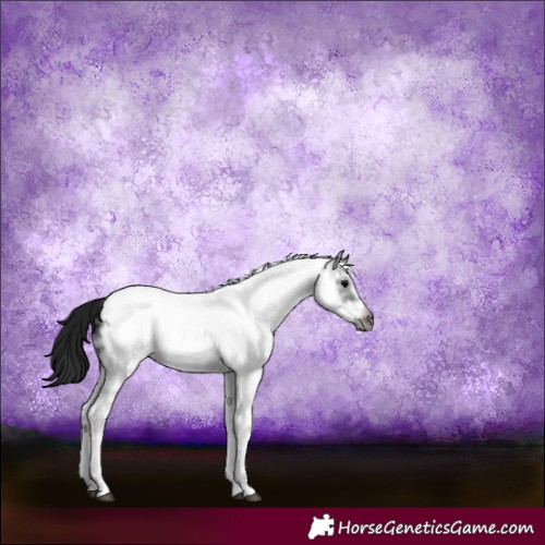 Horse Color:Gray White Spotted Black Frame