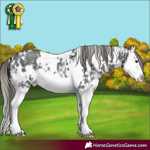 Horse Color:White Spotted Liver Chestnut Mushroom Sabino Splash 