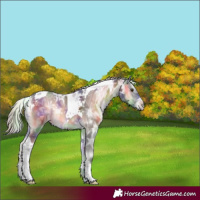 Horse Color:Nacre Silver Smoky Blue Onyx Chinchilla Ice Tobiano 