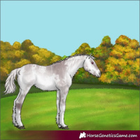 Horse Color:White Spotted Chocolate Silver Buckskin Chinchilla Ice Onyx Tobiano 