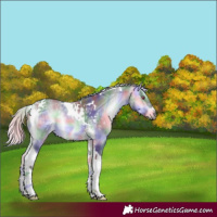 Horse Color:Nacre Silver Buckskin Chinchilla Ice Onyx Tobiano 
