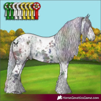 Horse Color:Nacre White Spotted Silver Black Chinchilla Ice Tobiano