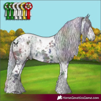 Horse Color:Nacre White Spotted Silver Black Chinchilla Ice Tobiano 