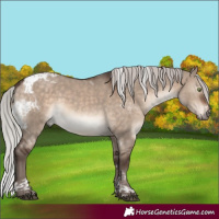 Horse Color:Silver Brown Dun Mushroom Tobiano Rabicano