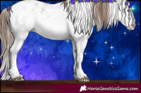 Horse Color:White Spotted Brown Pearl Sabino Splash Rabicano 