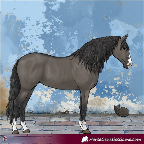 Horse Color:Grullo 