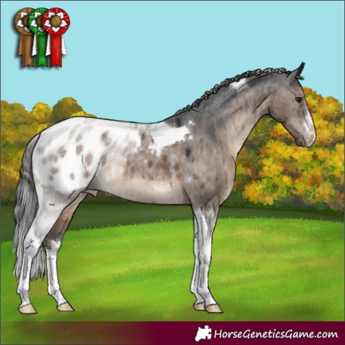 Horse Color:White Spotted Brown Dun Tobiano Blanket Rabicano Brindle