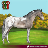 Horse Color:White Spotted Brown Dun Tobiano Blanket Rabicano Brindle 