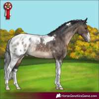 Horse Color:White Spotted Brown Dun Tobiano Appaloosa Rabicano Brindle 