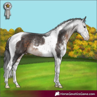 Horse Color:Brown Sabino Tobiano Varnish Rabicano 