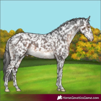 Horse Color:Brown Tobiano Snowflake VarnishRabicano