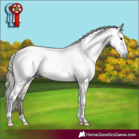 Horse Color:Gray Brown Tobiano Appaloosa Rabicano
