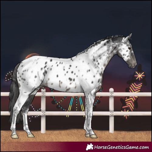 Horse Color:Black Tobiano Near Leopard 