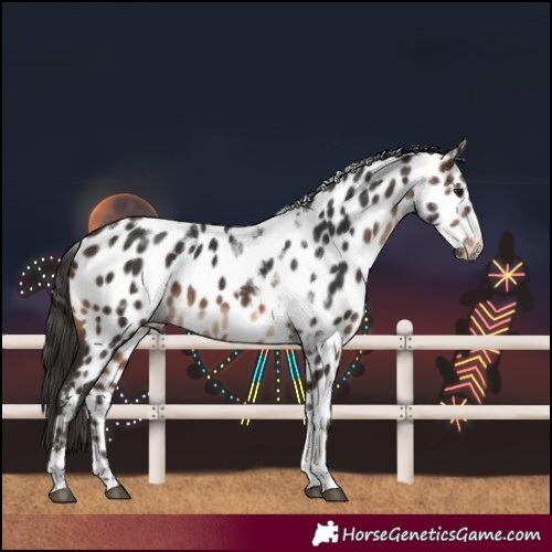 Horse Color:Brown Tobiano Near Leopard 
