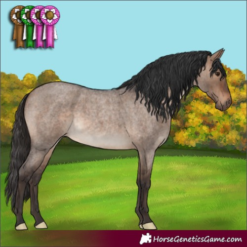 Horse Color:Brown Roan Dun Brindle 