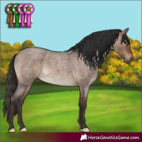 Horse Color:Brown Roan Dun Brindle