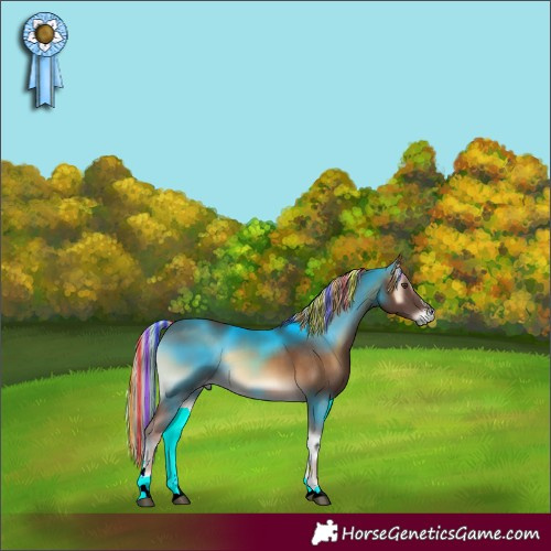 Horse Color:Painted Chocolate Palomino Onyx Rabicano 